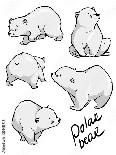 Cute polar bear. Flat hand drawn vector design. Cartoon illustration.