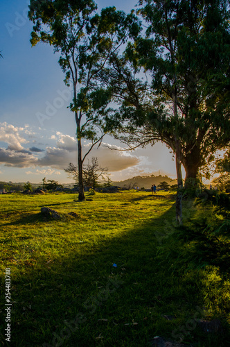 atardecer en el parque