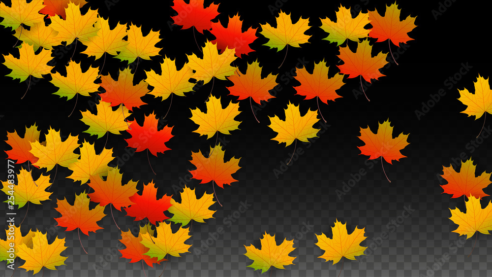 September Vector Background with Golden Falling Leaves. Autumn Illustration with Maple Red, Orange, Yellow Foliage. Isolated Leaf on Transparent Background. Bright Swirl. Suitable for Posters. September Vector Background with Golden Falling Leaves. Autumn Illustration with Maple Red, Orange, Yellow Foliage. Isolated Leaf on Transparent Background. Bright Swirl. Suitable for Posters.