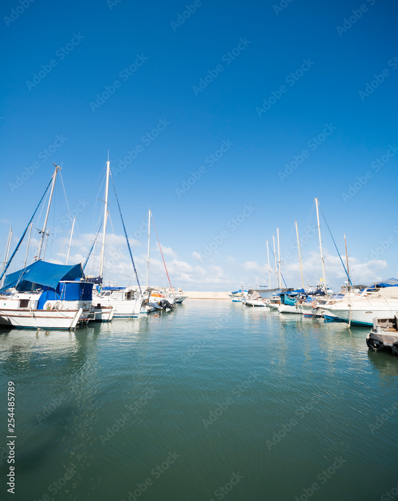 Obraz premium many moored sail yachts in the sea port, modern water transport