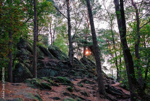 The Doerenther Klippen in the teutoburger forest during desert storm Ophelia photo