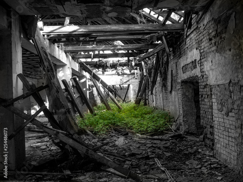 lost place nature