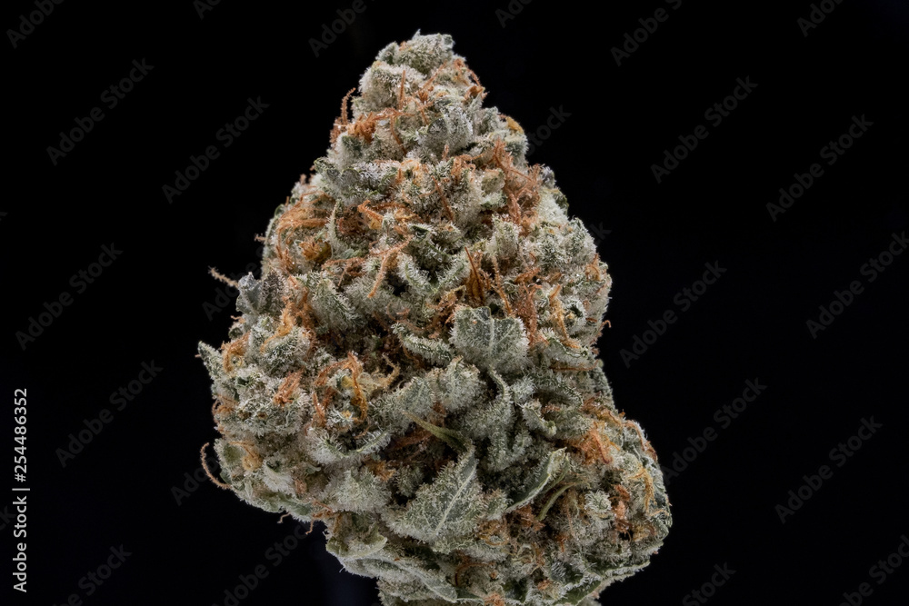 Strawberry Banana Cannabis Flower Strawberry Banana Cannabis Flower