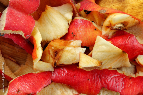 Detail photo - fruit peels  mostly apples - home composting.