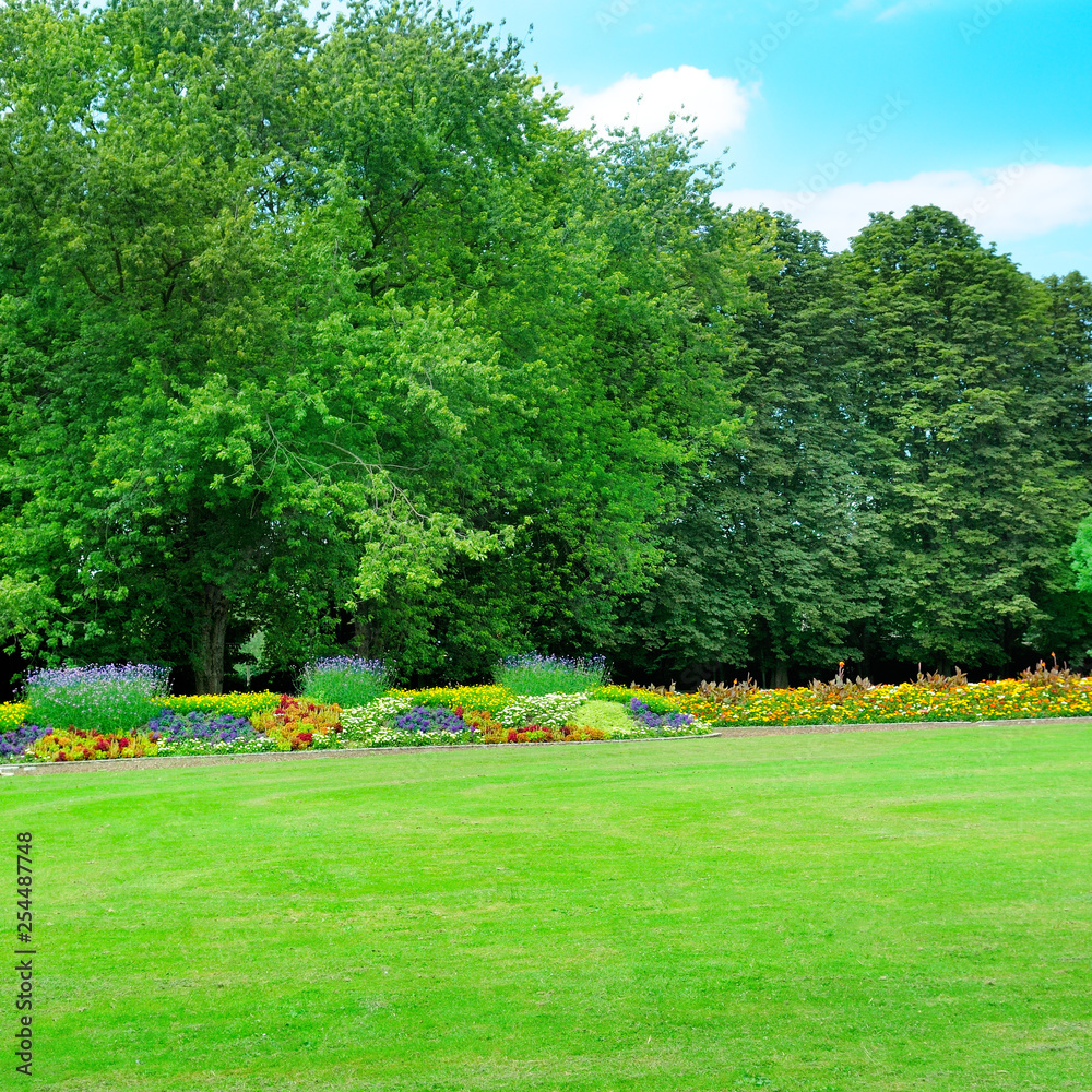 Summer park with beautiful flowerbed and meadow.