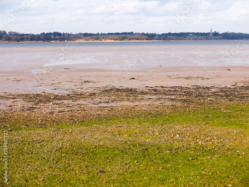 Beautiful bay coastal open scenery outside Manningtree, Jacques Bay photo