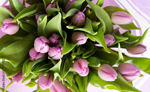 Beautiful bouquet of many small violet tulips Tulipa for celebration photo