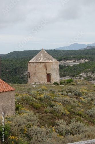 corse