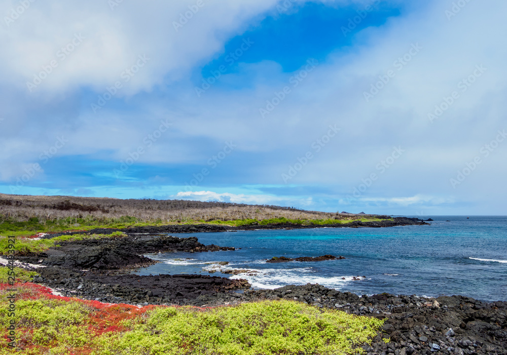 Fototapeta premium Landscape of the coast near Puerto Velazco Ibarra, Floreana or Charles Island, Galapagos, Ecuador