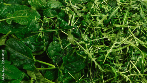 Fresh leaves of arugula and spinach as background.