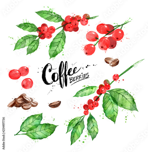 Watercolor illustration set of coffee beans and berries