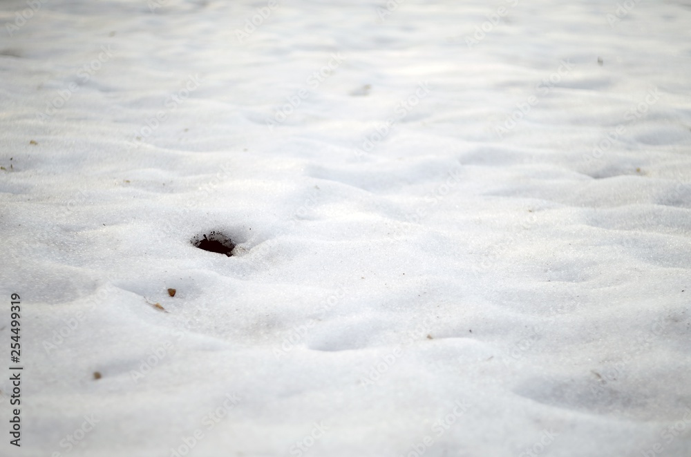 snow in the field