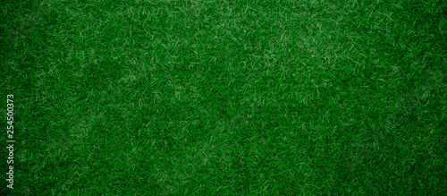 Panoramic Artificial green Grass Background