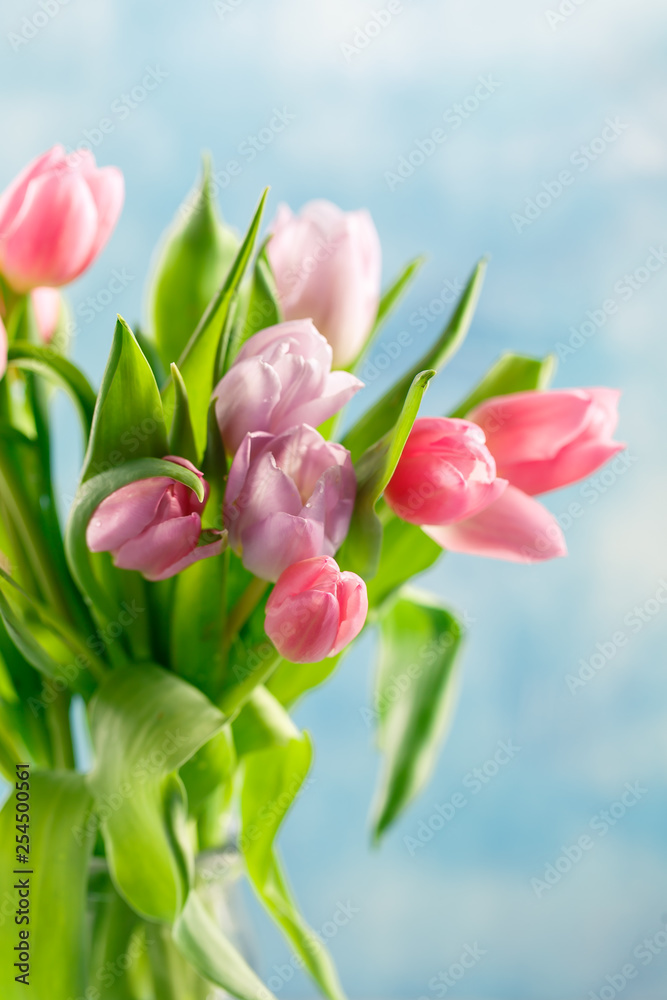Bouquet of pink tulips Bouquet of pink tulips