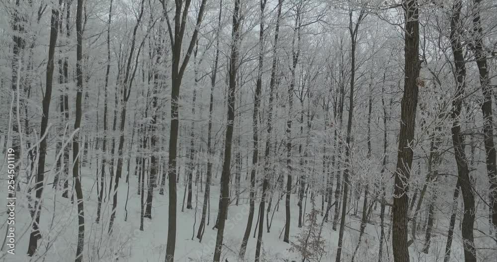 Aerial shot, winter forest in the Pilis Mountain Aerial shot, winter forest in the Pilis Mountain
