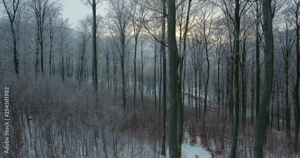 Aerial shot, winter forest in the Pilis Mountain Aerial shot, winter forest in the Pilis Mountain