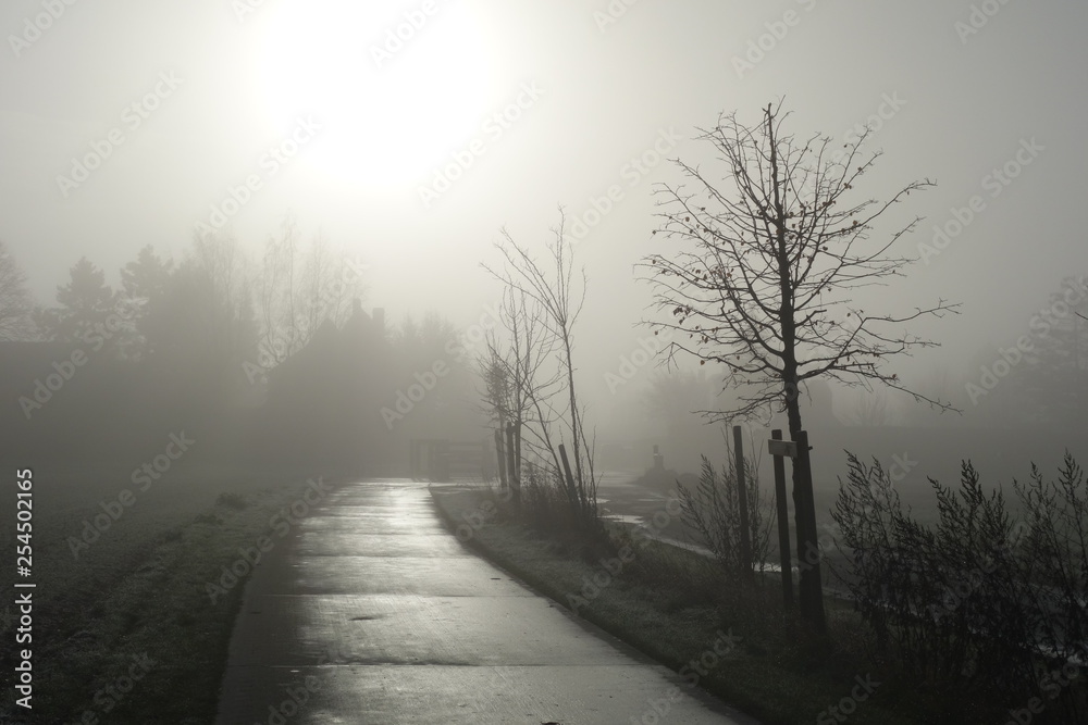 Obraz premium Brume d'hiver sur la campagne