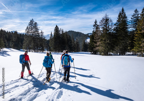 Adults snowshoeing thruogh forest in Kaiserau with mountain Rottenmanner Tauern photo