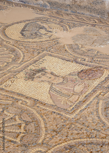 Mosaic Floor of the Byzantine Church, Petra, Ma'an Governorate, Jordan