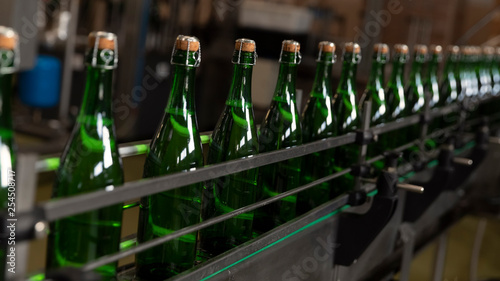 Green champagne bottles on the conveyor belt. Champagne production