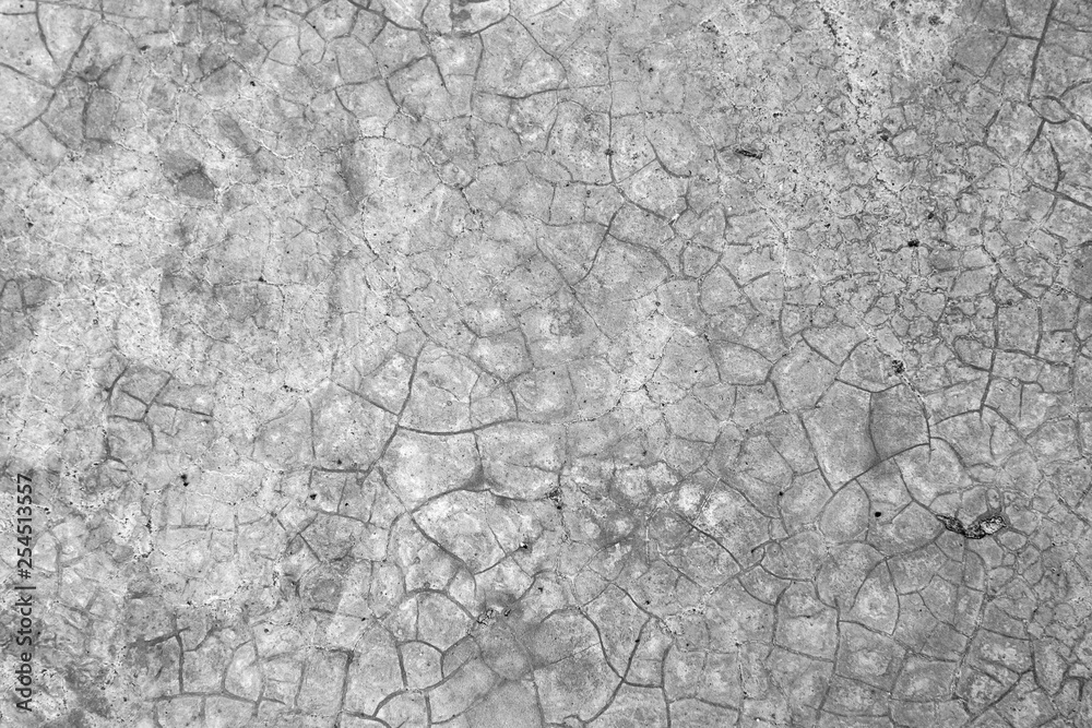 Fototapeta premium Cracked concrete texture closeup for background.
