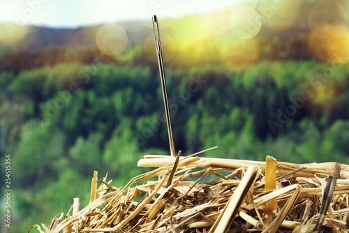Closeup of Needle in haystack on background