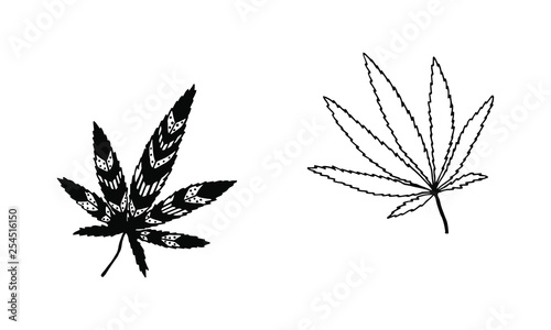 vector illustration - hemp leaves
