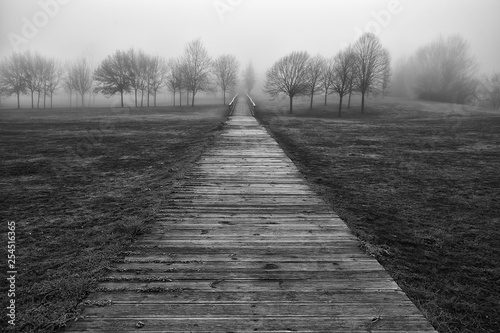 Footbridge to the forest in a foggy day photo