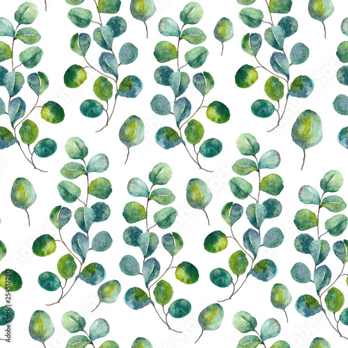 Seamles pattern with eucalyptus leaves. Green foliage and botanical watercolor pattern.