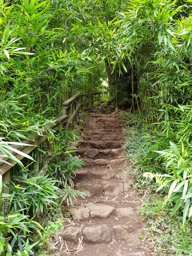 Hawaii Maui Pipiwai Trail photo