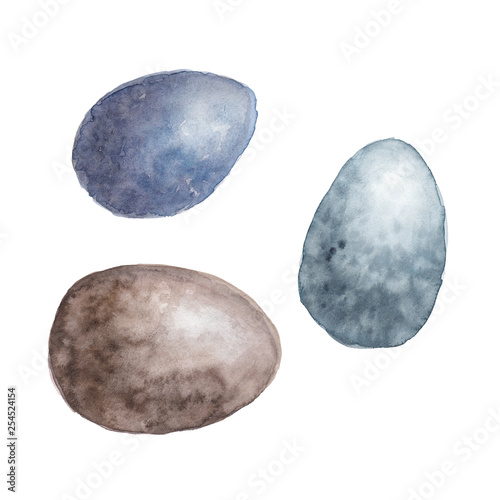 Three watercolor bird eggs with texture