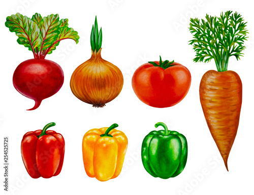 Isolated vegetables on white background - oil painting