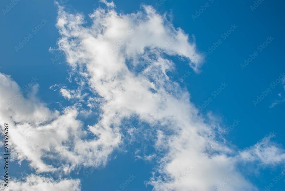 Fototapeta premium blue sky with cloud