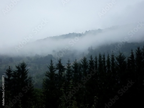 Туман © Mykhailo