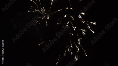 Fireworks in the night sky