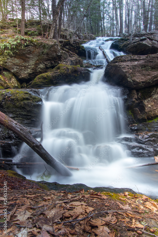 Fototapeta premium waterfall in the forest