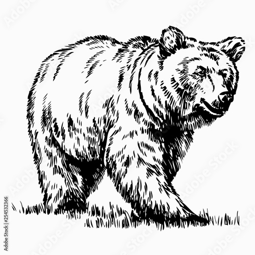 Bear silhouette vector illustration