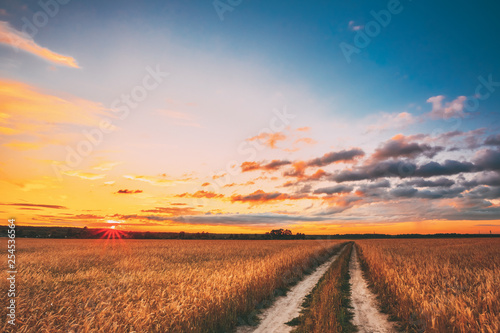 Rural Countryside Road Through Wheat Field Landscape. Yellow Barley Field In Summer. Harvest Season