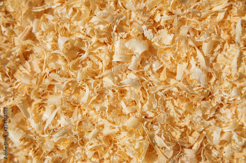 Bild auf Leinwand Texture of fresh white sawdust close up. For background