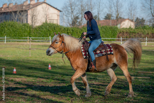 horses run free