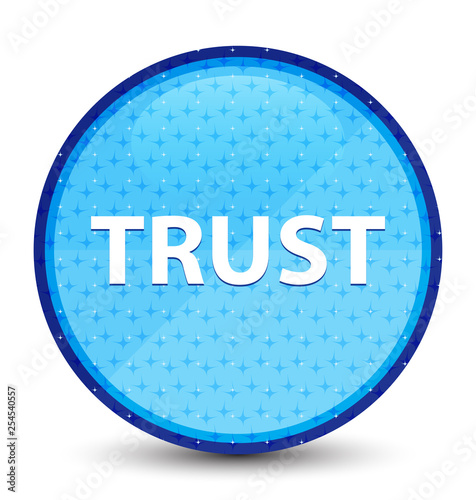 Trust galaxy cyan blue round button