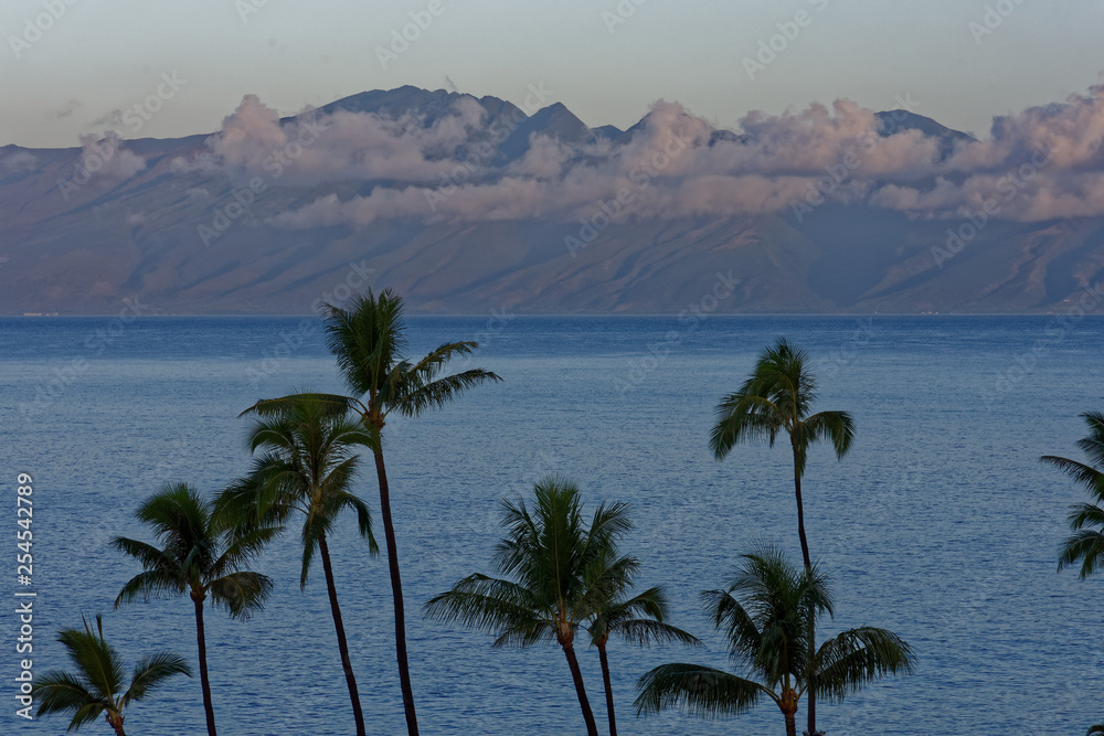 A tropical scene at dusk with an island across the ocean shrouded in pink clouds. There are palm trees in the foreground. It is the Hawaiian island of Molokai, seen from Lahaina on Maui.