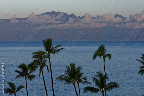 Wallpaper Mural A tropical scene at dusk with an island across the ocean shrouded in pink clouds. There are palm trees in the foreground. It is the Hawaiian island of Molokai, seen from Lahaina on Maui. Torontodigital.ca