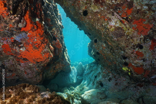 A passage below rocks underwater in the Mediterranean sea  natural scene  Italy