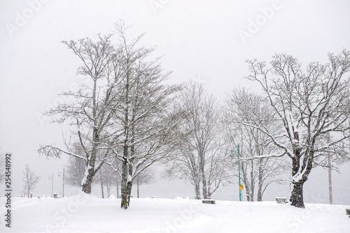 View of Transfer Beach park during a winter storm in Ladysmith, BC