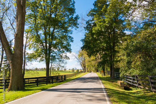 Country road along forse farms. photo