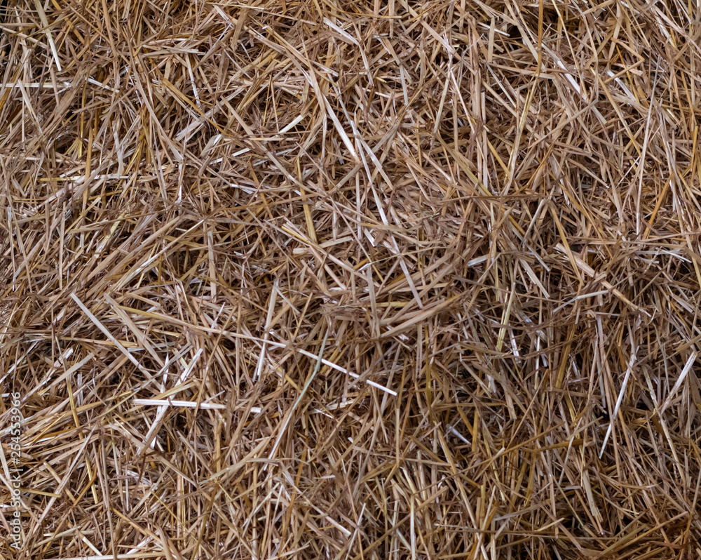 Straw Texture Spread out across barn floor Straw Texture Spread out across barn floor