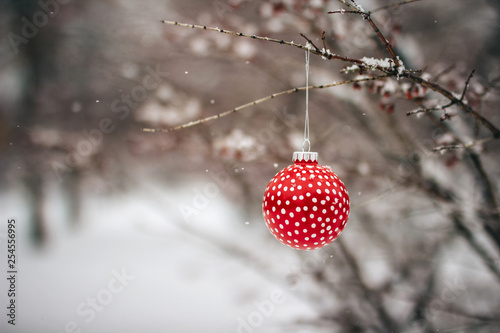  Red Christmas Ornament Hanging In a Tree.