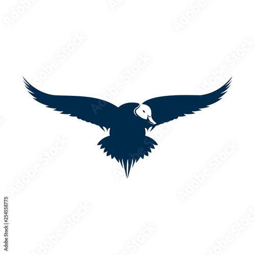 duck pintail logo vector