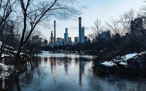 new york skyline from the park